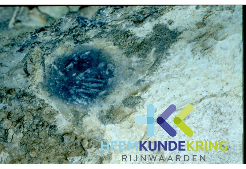 Archeologie`s onderzoek Herwen 1996 Geitenwaard F00000620